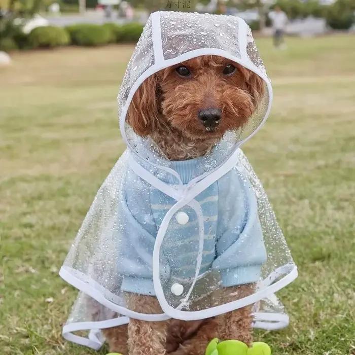  Vêtements de pluie transparents pour animaux de compagnie, imperméable à capuche, veste imperméa