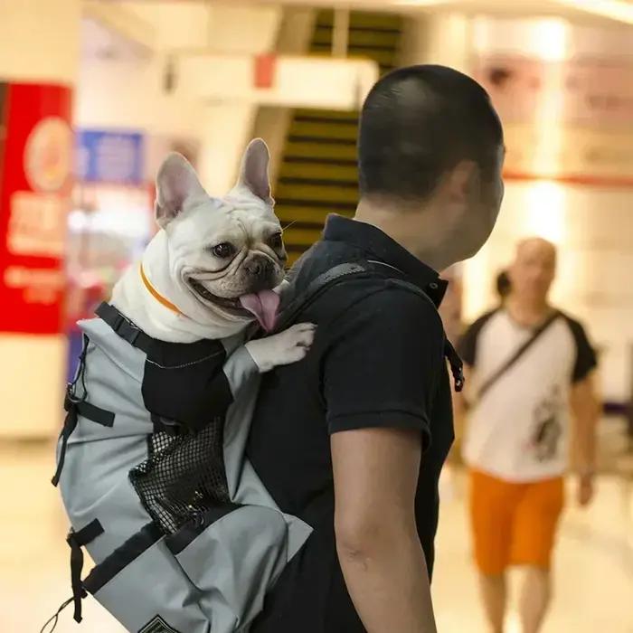 Sac à dos de transport pour chien réglable et durable, respirant, grande taille, pour la randonnée,