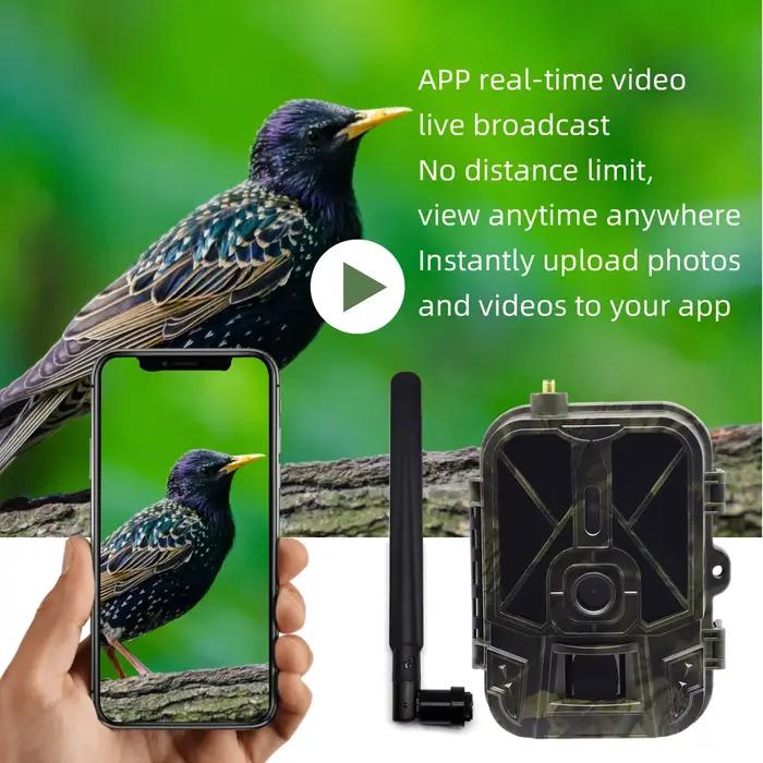 Caméra de chasse à vision nocturne 4G avec suivi et contrôle par application