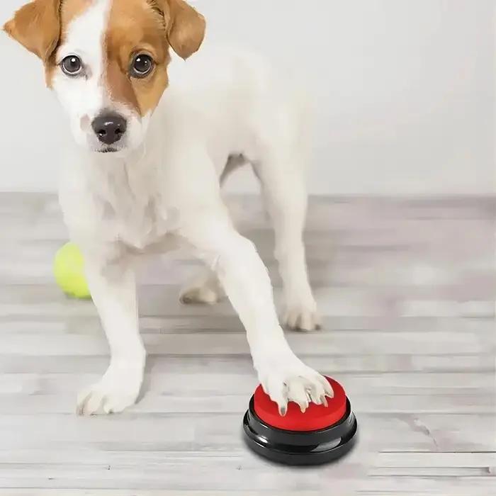 Jouets pour chiens Chien drôle enregistrable
