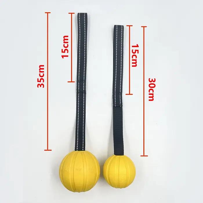 Balles de jouets pour chiens sur une corde pour chiens de petite