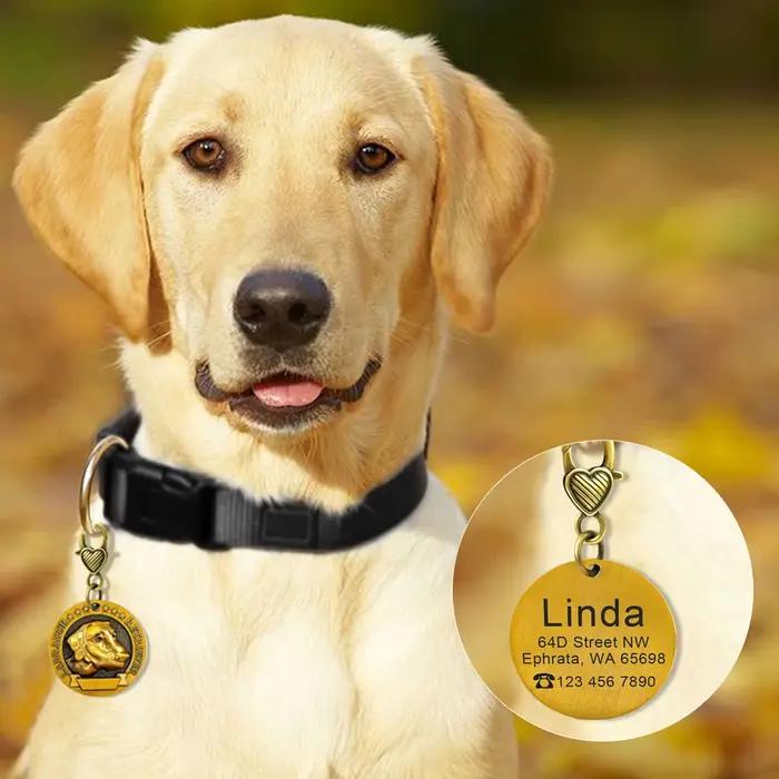 Étiquette d'identification de chien personnalisée
