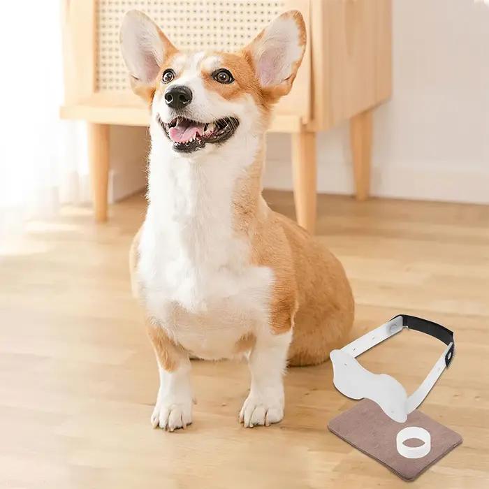 Autocollants d'oreille de chien, accessoires debout, Kit d'outils de Correction, Support de postage, nettoyage, érecteur, soins Doberman