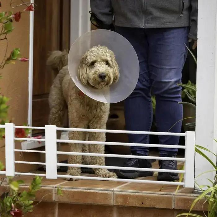 PupMED-Clôture courte rétractable extra large pour animaux de compagnie
