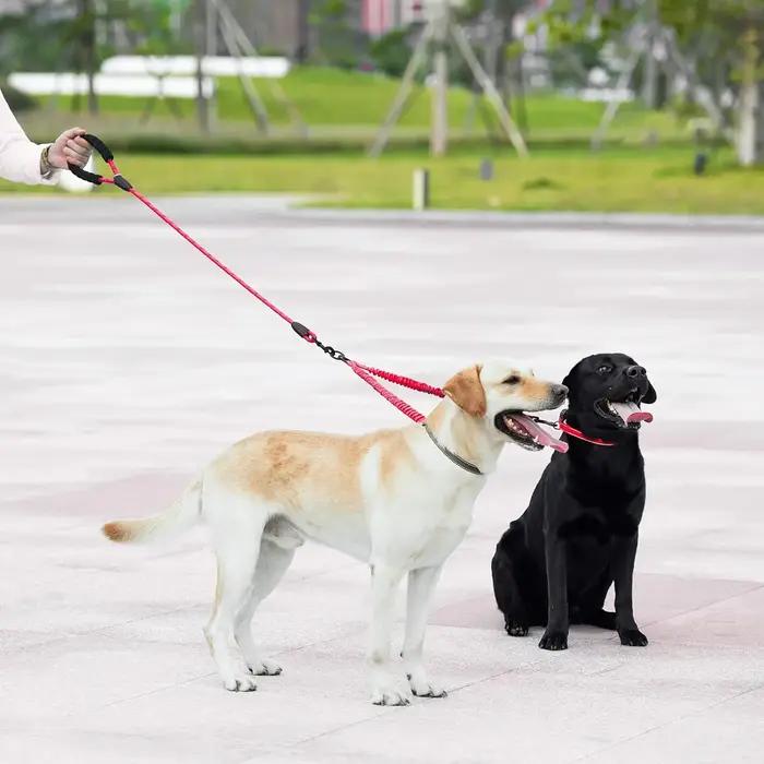 Laisse double pour chien