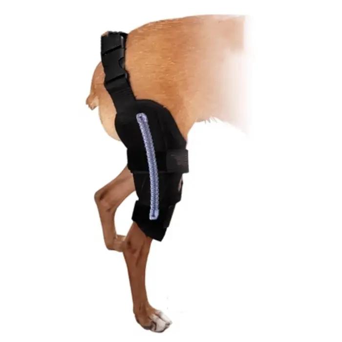 Genouillère de soutien pour chien