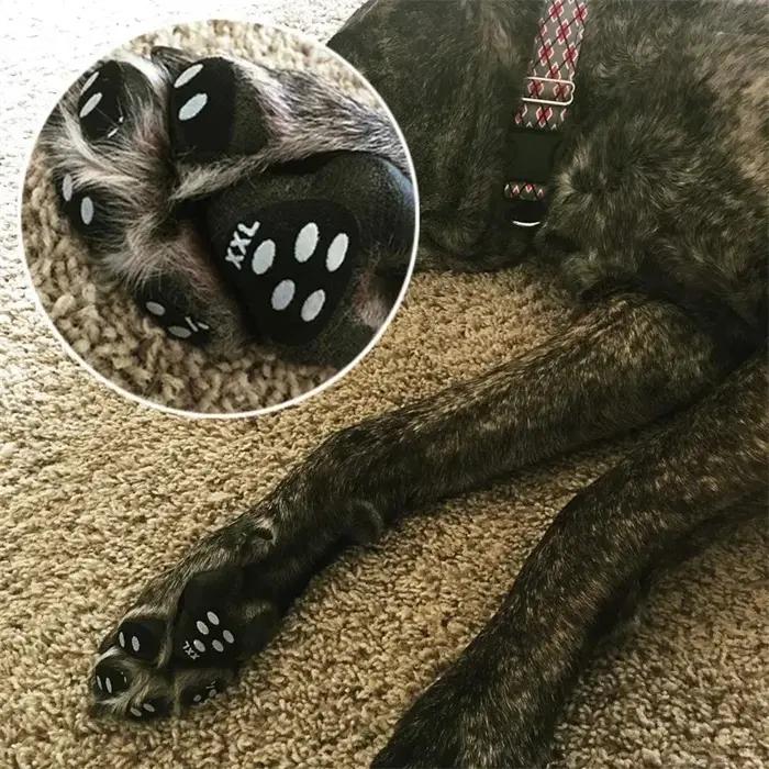 Ensemble de coussinets de protection antidérapants pour pattes de chien