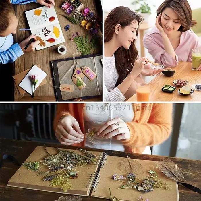 Boutons de roses secs naturels de qualité supérieure – Matériaux d'aromathérapie DIY pour la fabrication de savon