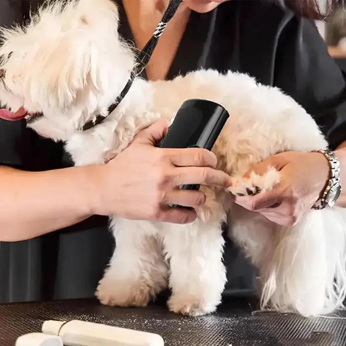 Brosse Professionnelle de Démêlage pour Animaux de Compagnie, Multifonctionnelle et Ergonomique Pour Chien et Chat Occasions Spéciales Toilettage Élégant