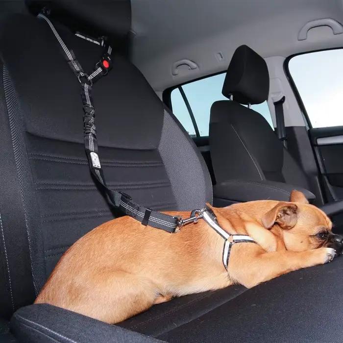 Ceinture de sécurité de voiture Casting pour animaux de compagnie, chiot, promenade, voyage, accesso