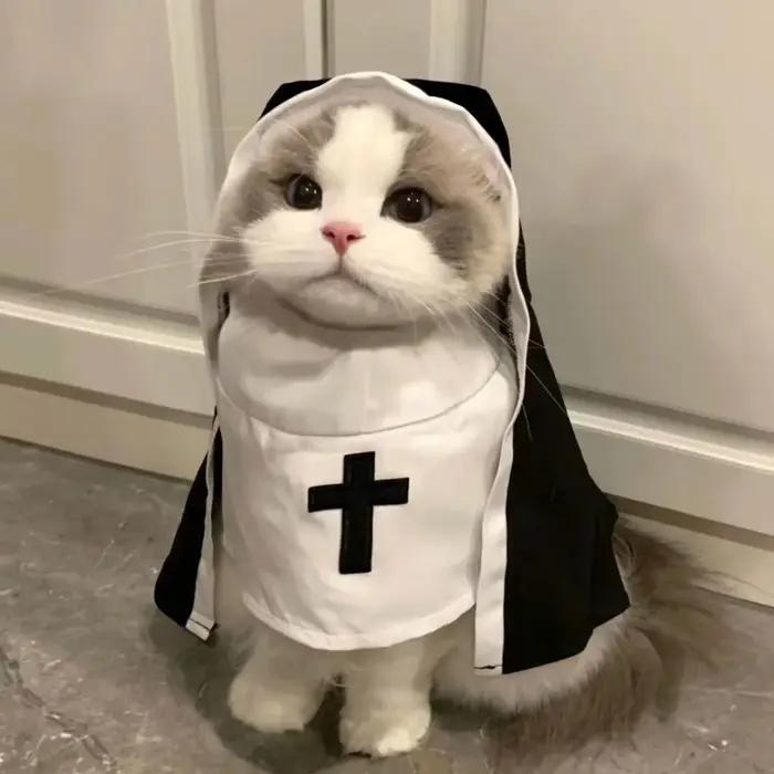 Costume de cosplay pour chat en fibre de polyester - Jésus et Nonne - Accessoires pour animaux de compagnie pour Noël et Halloween