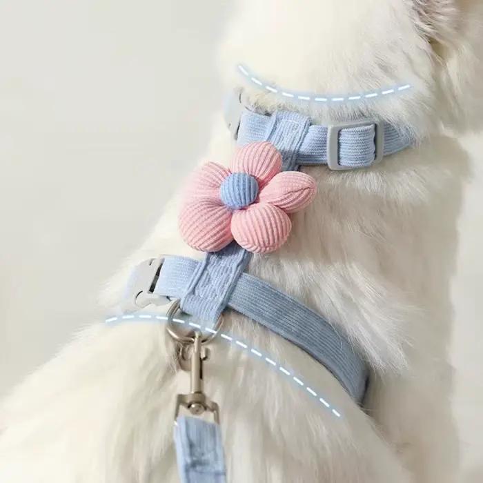 Ensembles de harnais et de laisse pour chat, harnais réglable pour petit chien, harnais pour animaux de compagnie, sangle de marche, accessoire pour chat