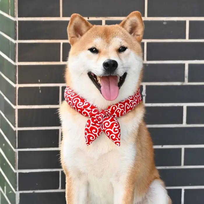 Bandanas pour chiens Akita Shiba, écharpe, col doux, accessoires à nœud lavables, Style ferme japona