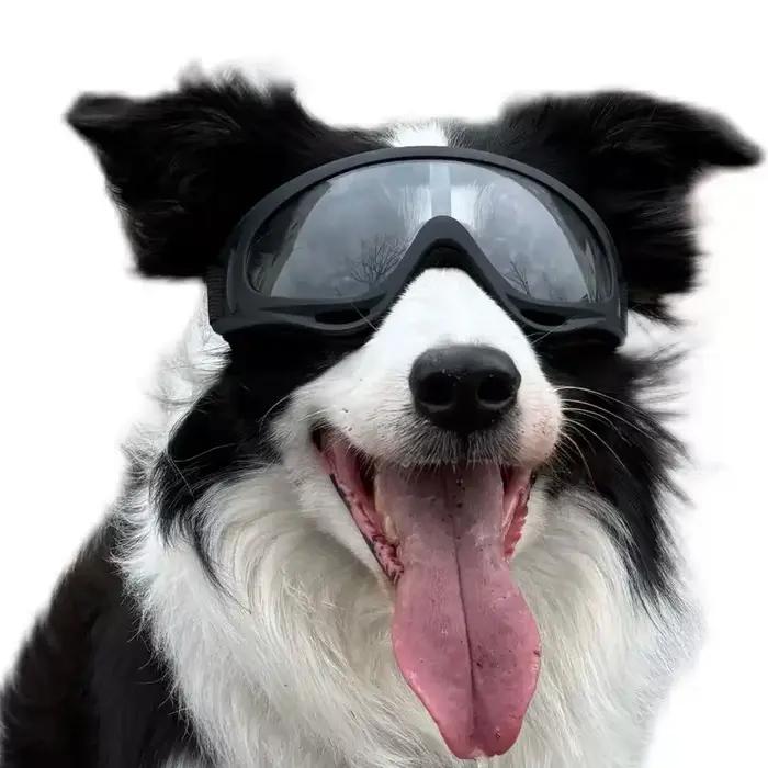 Lunettes de protection pour chiens de taille moyenne et grande, coupe-vent, anti-poussière, protecti