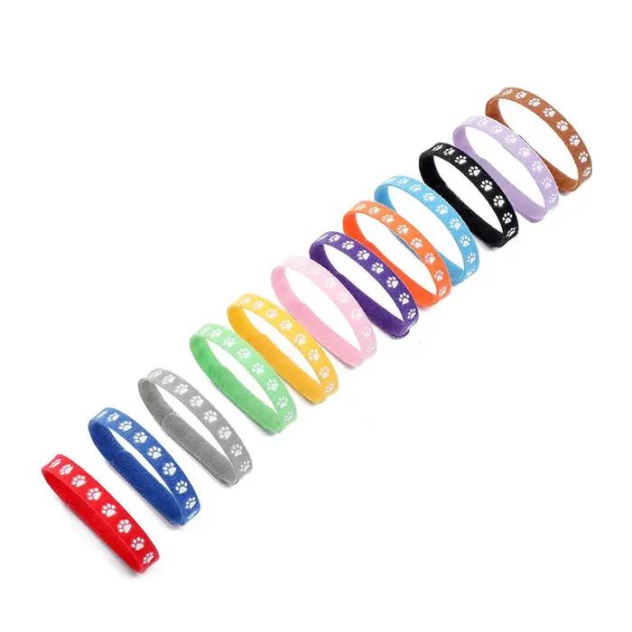 Paquet de 12 colliers d'identification pour nouveau-né, chiot et chaton, bandes d'identification de