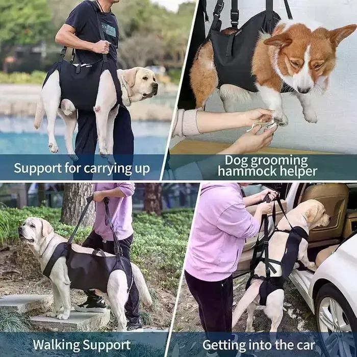 Harnais d'aide à la montée d'escalier pour chien laisse de soutien pour chien âgé gilet de levage réglable pour animaux de compagnie aide à la montée d'escalier pour grands chiens