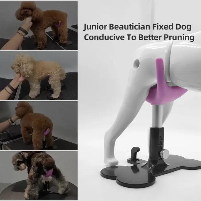Banc réglable en silicone pour chien confortable élégant à offrir pour chiens occasions spéciales
