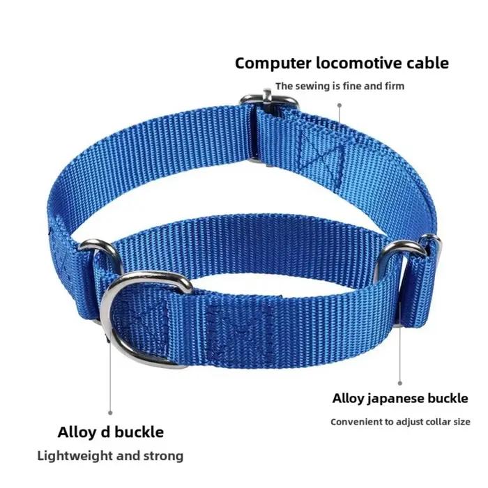 Collier de chien robuste en Nylon réglable