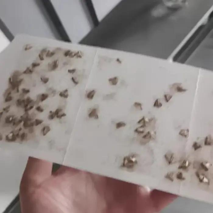 (HMA23) Pièges à mites adhésifs pour cuisine et vêtements avec phéromones, pièges à mites pour placa