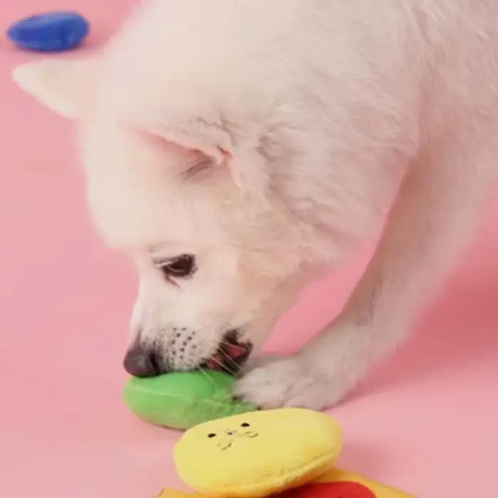 Jouets pour chiens encourage les compétences de recherche de nourriture naturelle