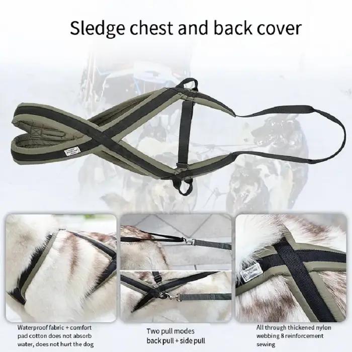 Ensemble de harnais et de laisse en nylon pour chiens de taille moyenne et grande adapté aux promenades et au traînage toute l'année