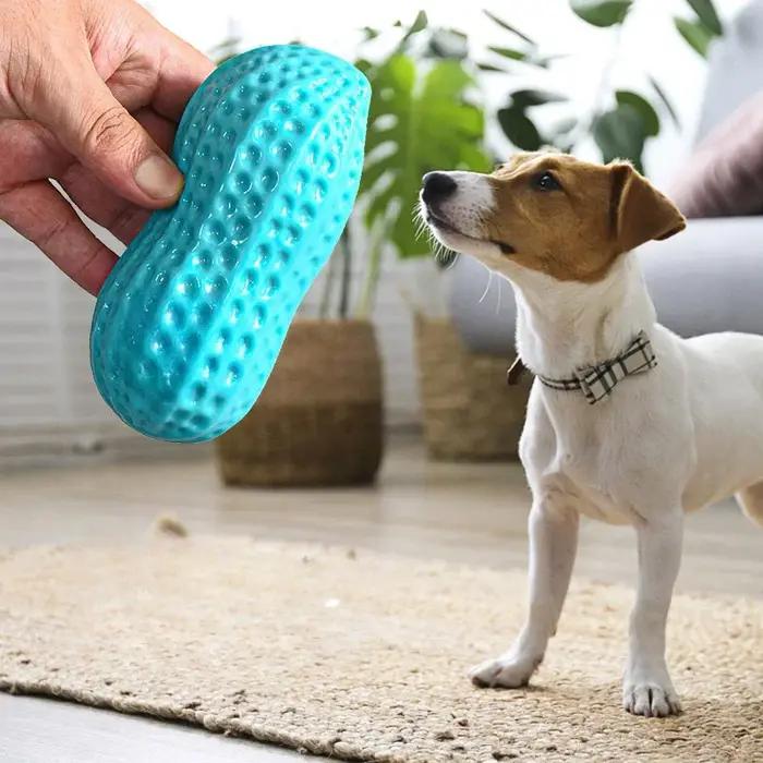 Jouet à mâcher pour chien