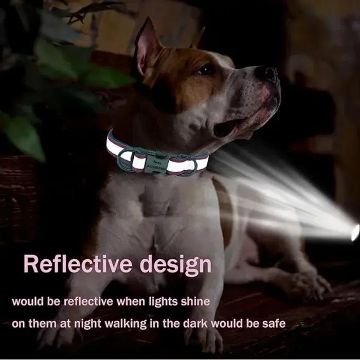 Collier de chien personnalisé réfléchissant réglable