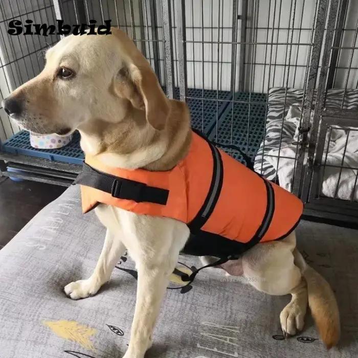 Gilet de sauvetage réfléchissant réglable pour grands chiens