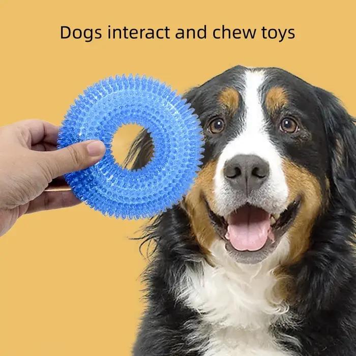 Jouets à mâcher pour chien en TPR design à picots résistants pour chiots et chiens adultes pour nettoyage des dents molaires jouets de dentition interactifs pour chiots occasions spéciales