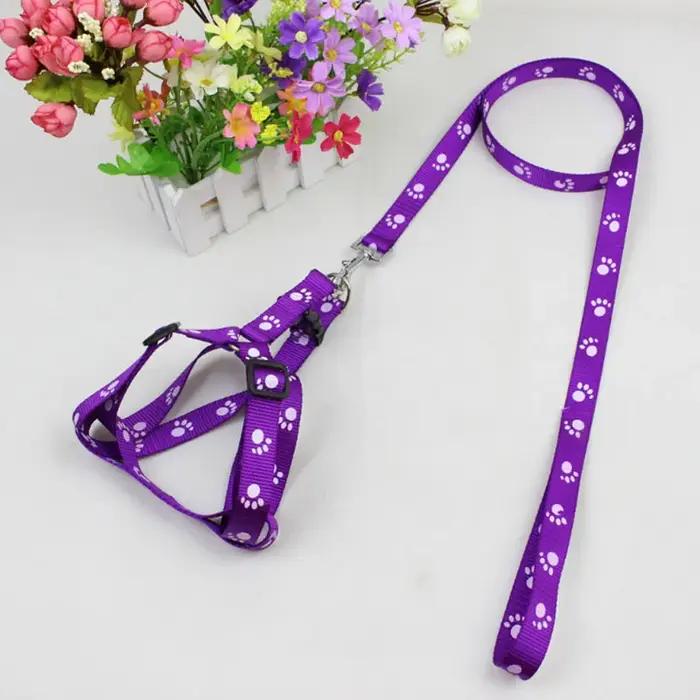 Ensemble harnais et laisse triangulaires pour chien, harnais léger, entraînement facile à marcher, laisse en plomb pour chien, voyage en plein air, petit et moyen chien