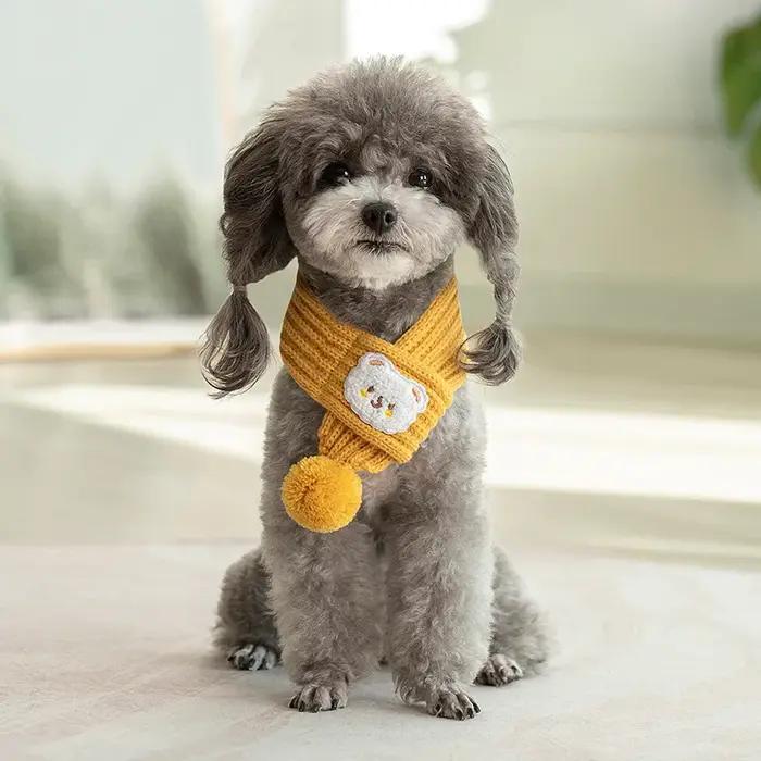 Écharpe tricotée pour chien