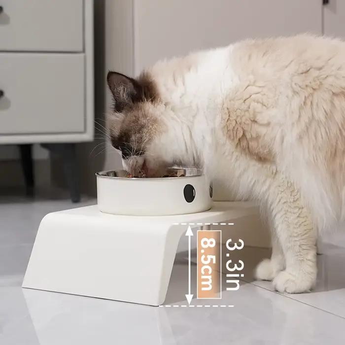 Bols surélevés pour mangeoire pour chien