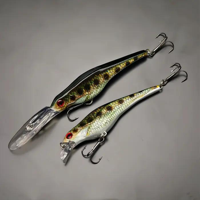ANFS 2 pièces Kit de leurre de pêche méné coulant coloré-impression colorée assortie deux modèles réalistes