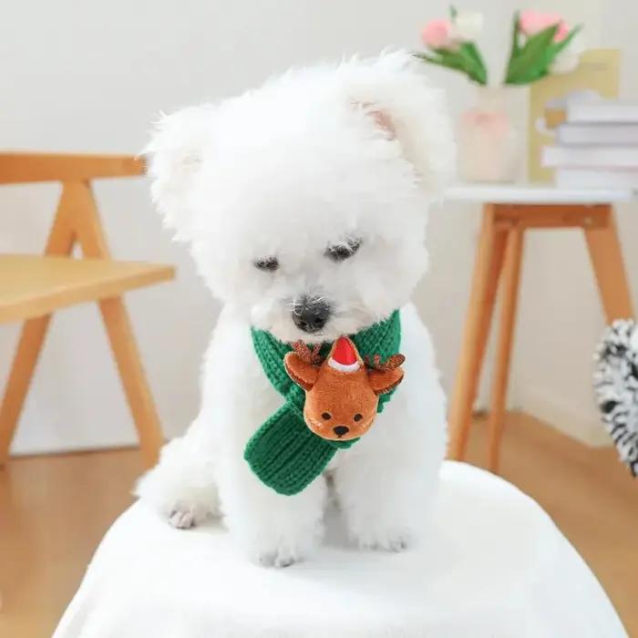 Écharpe de Noël pour animaux de compagnie