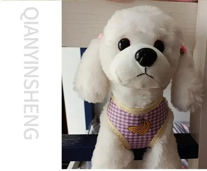 Ensemble laisse et harnais pour chien, laisse de traction pour chien, laisse de promenade pour chien, laisse pour petit chien, laisse pour chat, harnais de poitrion pour chat, collier, sac de transpor