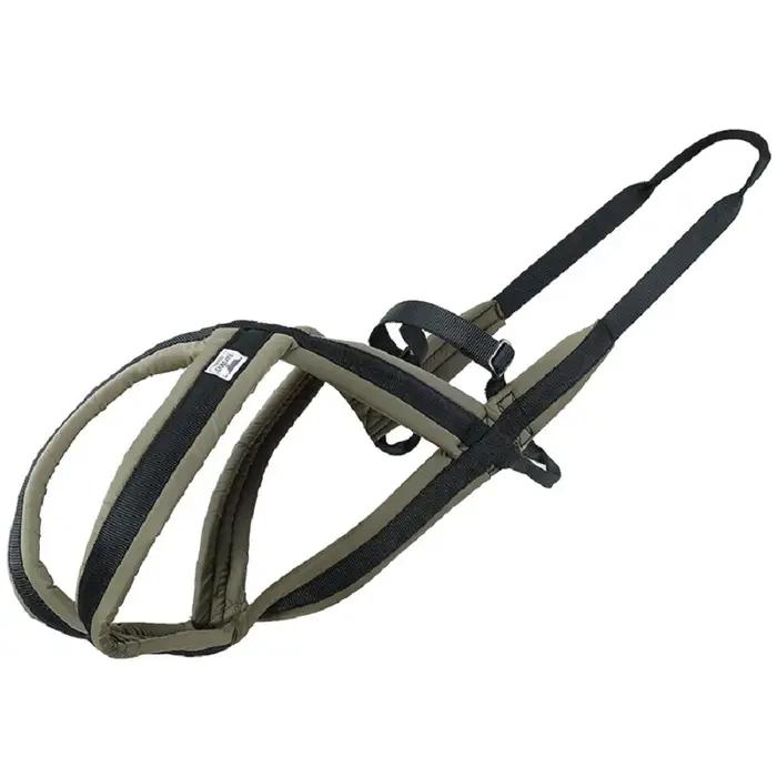 Ensemble de harnais et de laisse en nylon pour chiens de taille moyenne et grande adapté aux promenades et au traînage toute l'année
