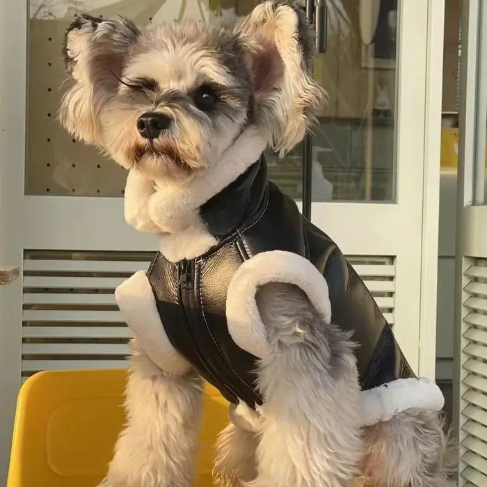 Gilet sans manches en velours pour animaux de compagnie