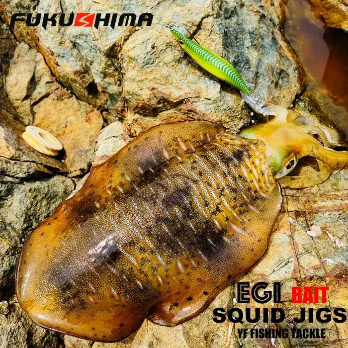 FUKUSHIMA 2-3.5 gabarits d'équilibre EGI leurre pêche au bois grillage BAIT coupe octopères queue br