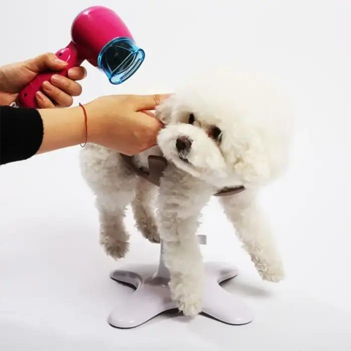 Table de toilettage pour chien réglable et sécurisée pour les soins courants et les compétitions de dressage