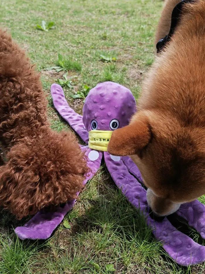 Jouet interactif pour chien en forme de pieuvre - Jeu de puzzle d'enrichissement et distributeur de nourriture à alimentation lente pour animaux de compagnie