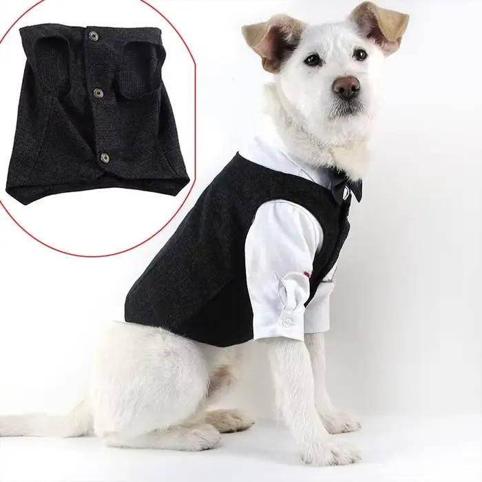 Manteau pour chien taureau français