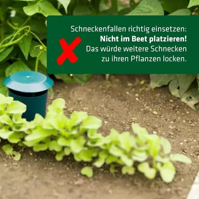 Piège à escargots, Cage à limaces de jardin réutilisable