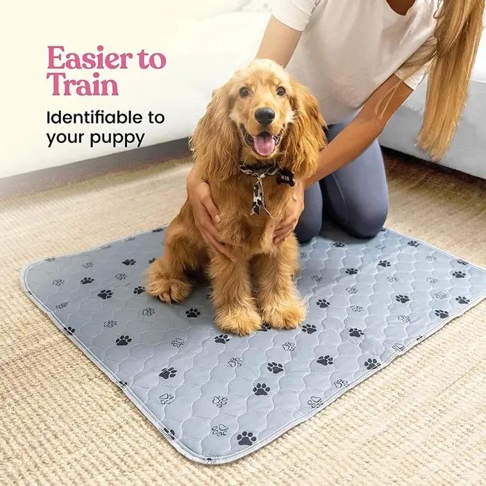 Coussinets d'urine pour chien, lavables et réutilisables, antidérapants, coussin d'entraînement pour