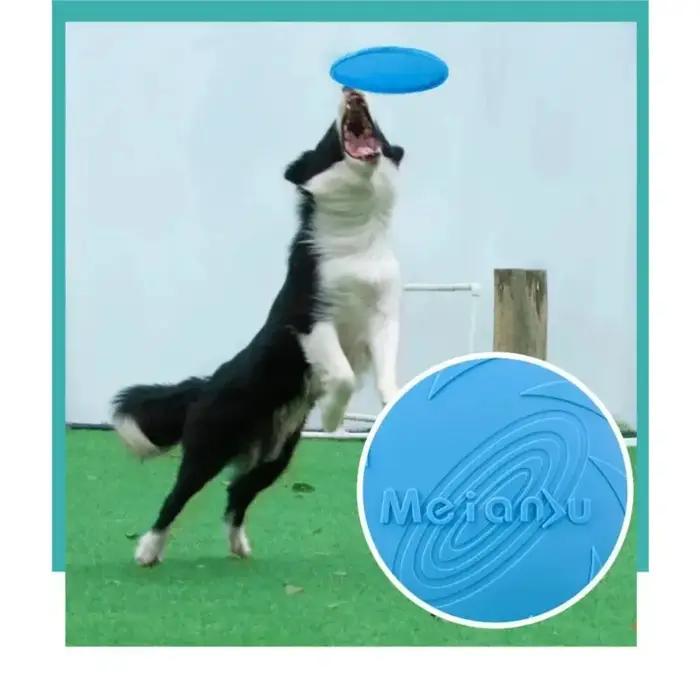 Disque volant résistant aux morsures pour chien