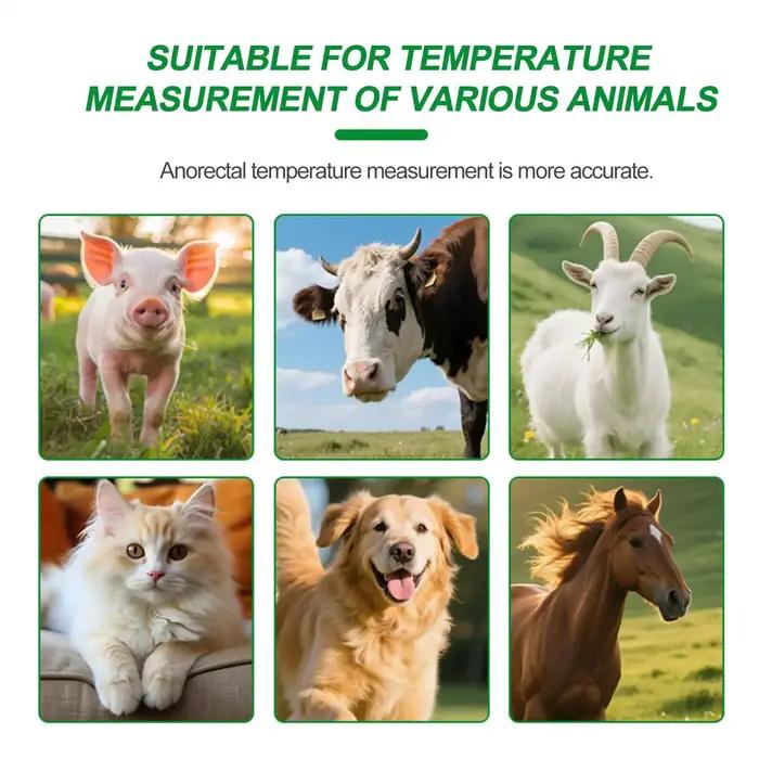 Thermomètre pour animaux de compagnie avec cordon extensible et clip pour la queue, capteur de température vétérinaire pour chiens, chats, chevaux, bovins, moutons, bétail d'élevage