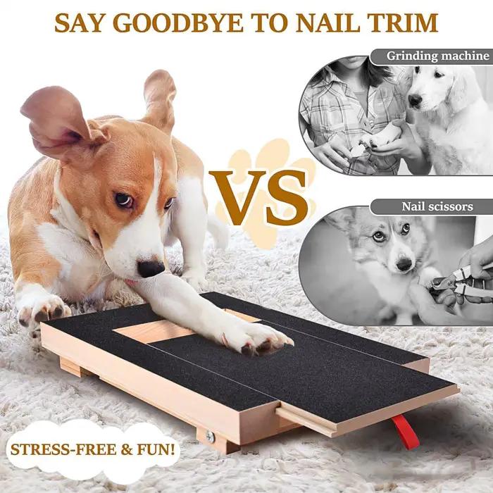 Grattoir en bois pour chiens avec boîte à friandises intégrée