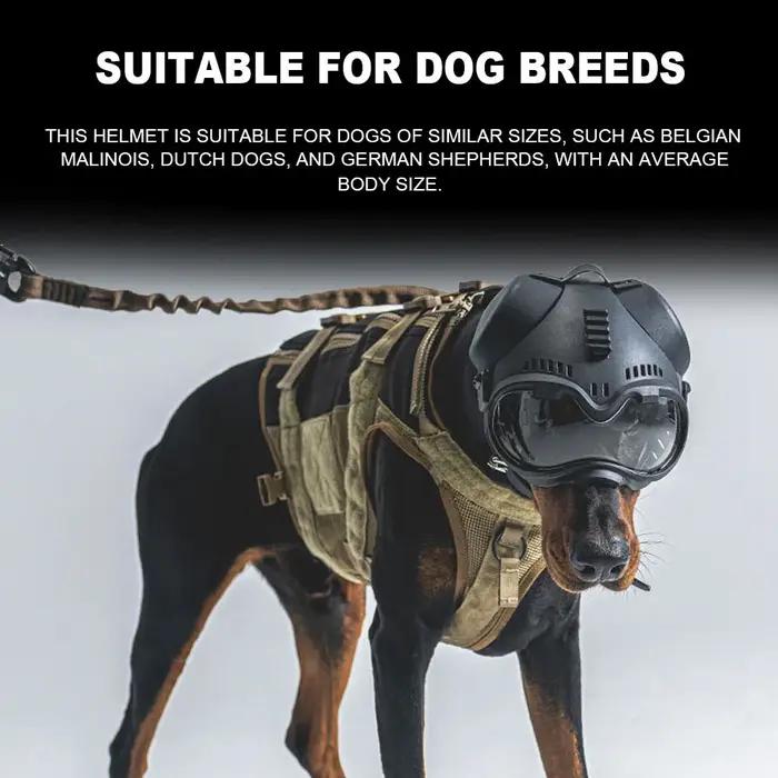 Casque protection chien tactique K9 avec rail fixation lunettes chasse entraînement grand chien