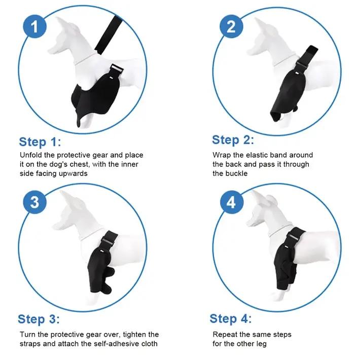 Attelle de protection complète pour coude de chien