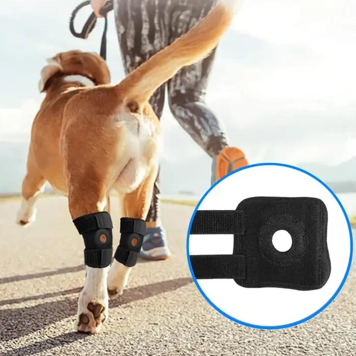Protège-Genou pour Chien : Bandage de Soutien pour Arthrite