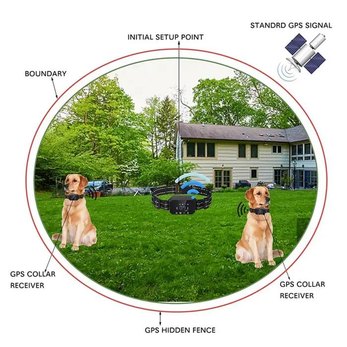 Collier de dressage électrique pour chiens